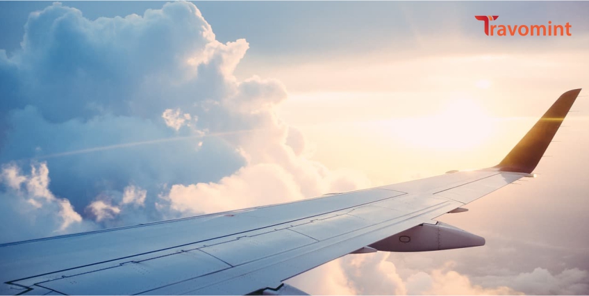 How to Select the Best Seat on Air New Zealand | Seat Selection Guide
